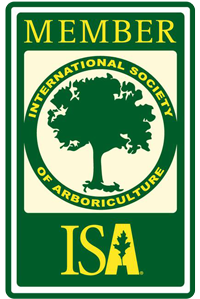 ISA Member